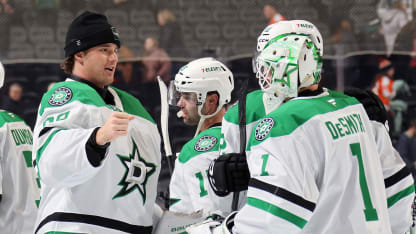 nhl fantasy hockey top 25 goaltender rankings pools