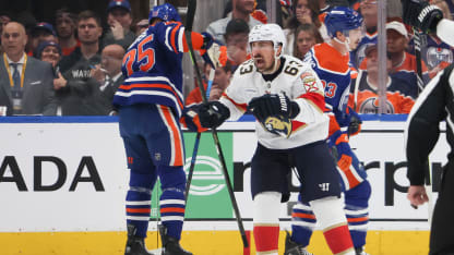 Marchand roofs one for PPG